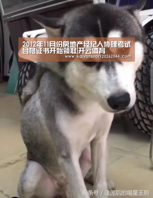 2012年11月份房地产经纪人协理考试合格证书开始领取|开云体育(图2) 开云娱乐