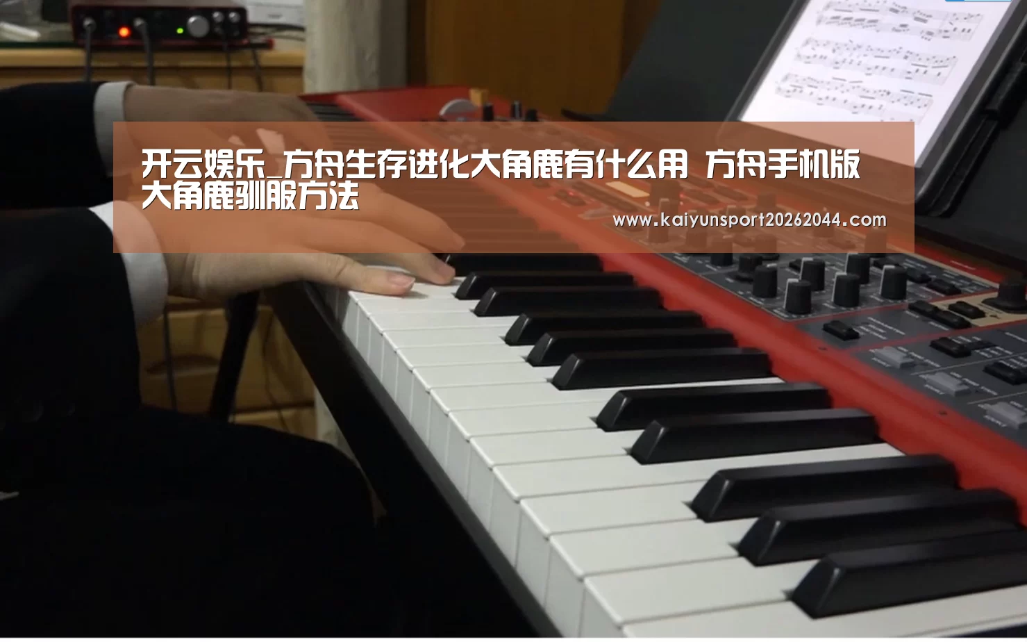开云综合