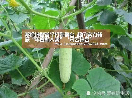 蔡徐坤登首个打歌舞台 超凡实力斩获“年度新人奖”‘开云综合’(图1) 开云综合